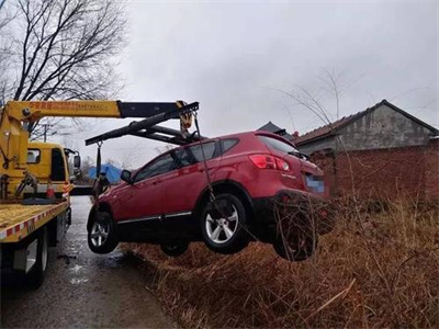 金平楚雄道路救援